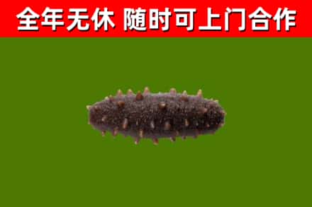 南阳市烟酒回收干海参.jpg